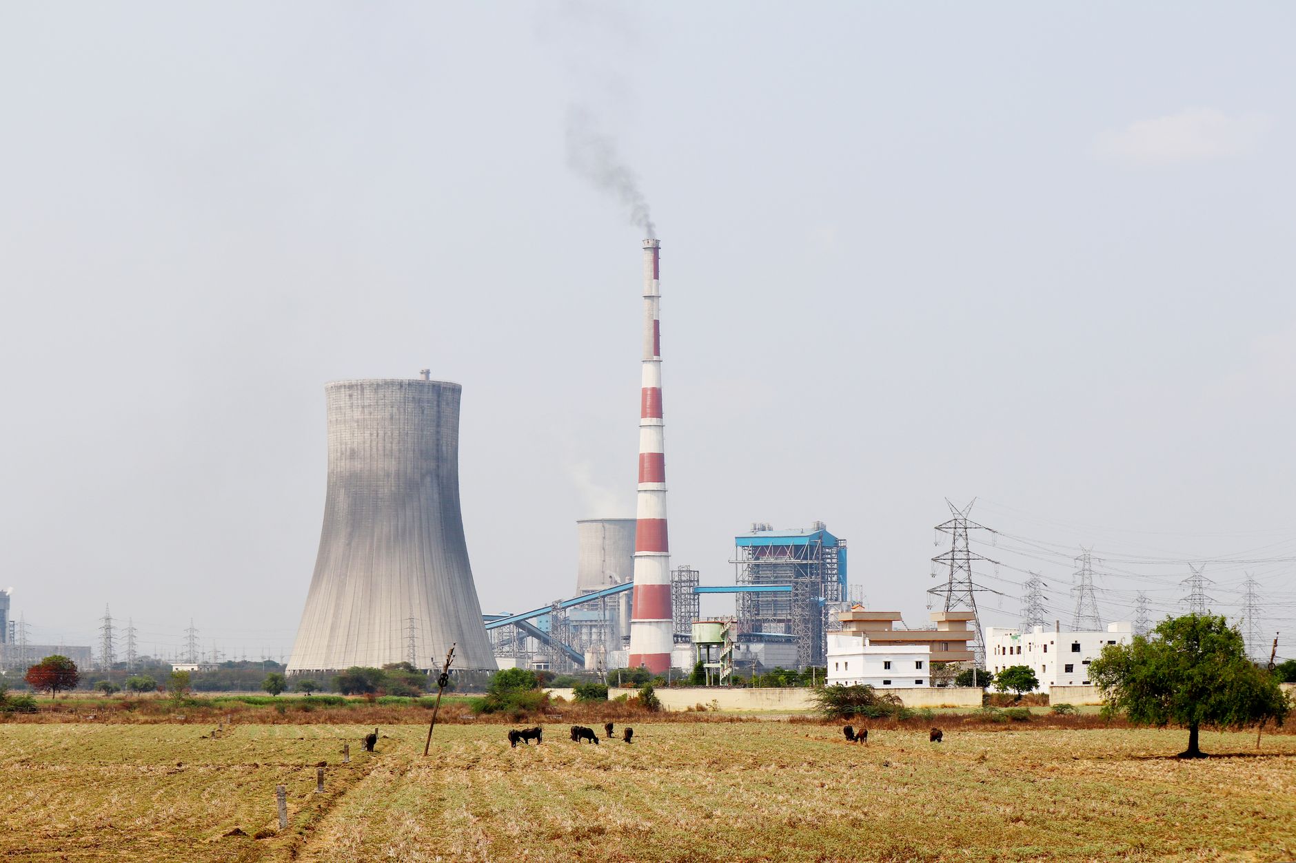 Asbestos Exposure at Ames Municipal Power Plant